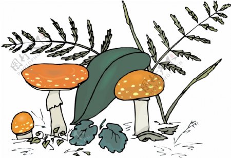 蘑菇植物矢量EPS0079