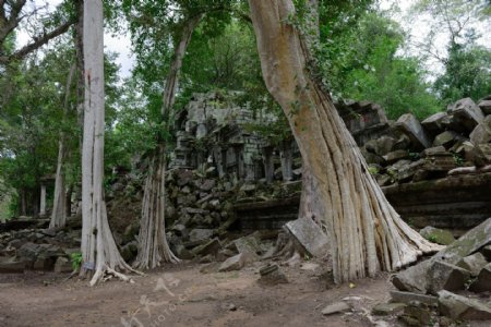 柬埔寨崩密列风景