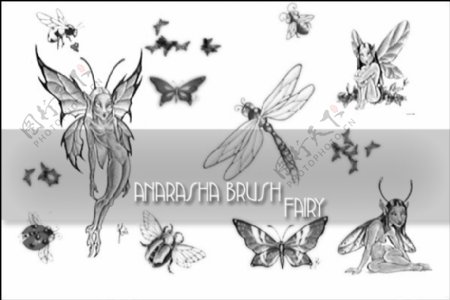 蝴蝶蜻蜓妖精图形photoshop笔刷素材