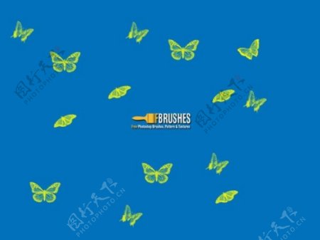 各种飞舞的蝴蝶图案photoshop笔刷下载