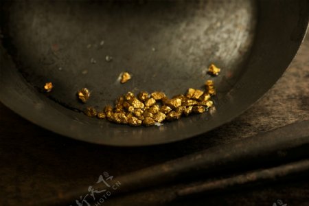 锅子里的金子图片