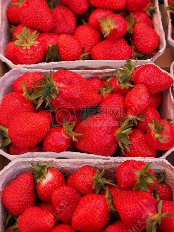 市场新鲜的草莓