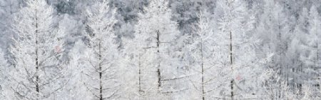 雪山雪景背景免费下载