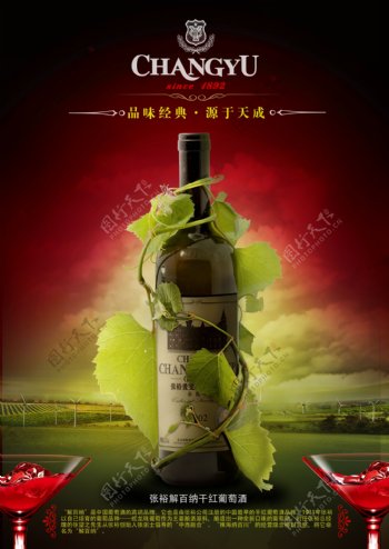红葡萄酒促销海报