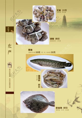 鱼类食谱