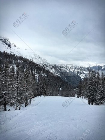 白雪覆盖的地面松树山在冬季期间的脚