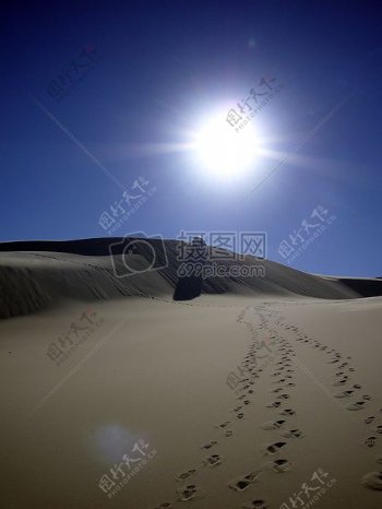 阳光下的沙漠