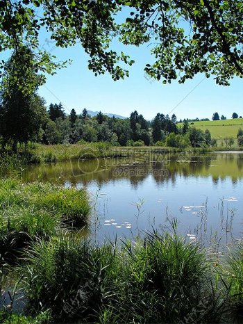 Bergsee