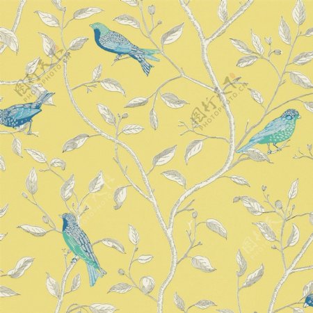 黄色树枝上的小鸟图案壁纸
