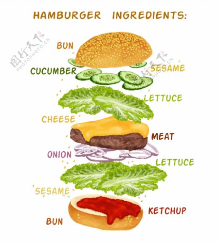 hamburguer成分设计