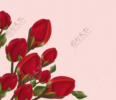 红色鲜花插图粉红色的背景