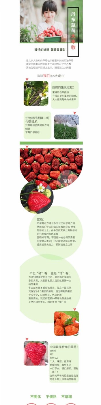 草莓详情页美食