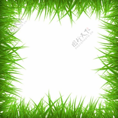 创意绿草空白框架背景矢量素材