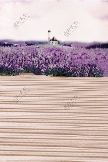 紫色花海H5背景