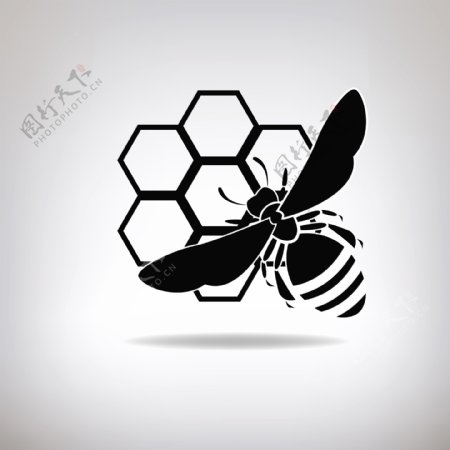 蜜蜂logo设计图片
