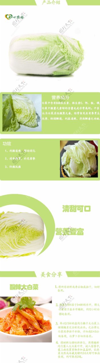 蔬菜大白菜淘宝设计
