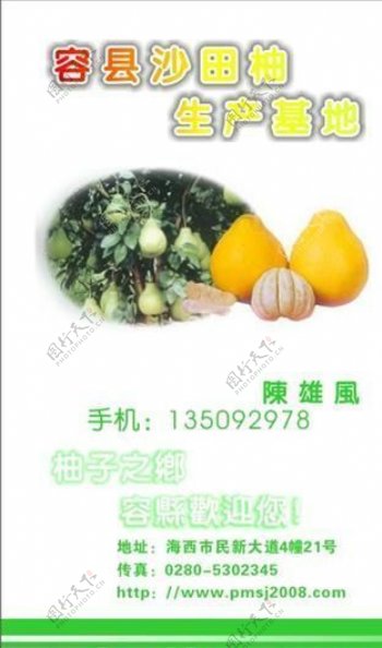 果品蔬菜名片模板CDR0026
