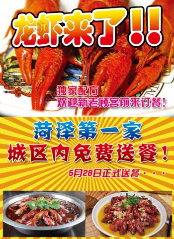 龙虾彩页图片