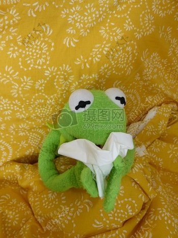 躺在床上看书的青蛙