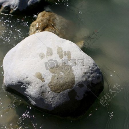 水中央的岩石