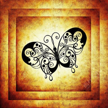蝴蝶艺术画框