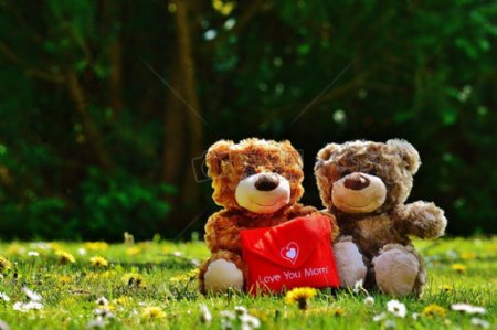 温馨浪漫的泰迪熊玩偶