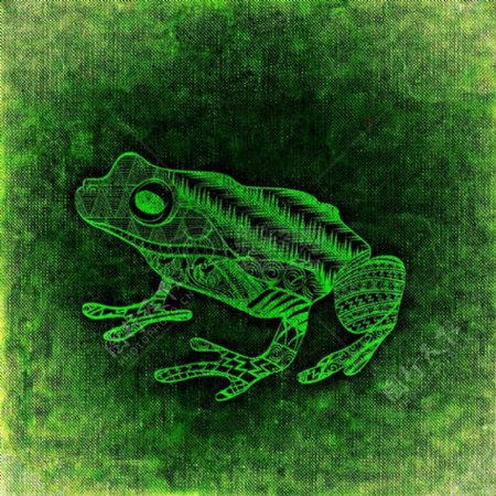 青蛙抽象背景滑稽纹理