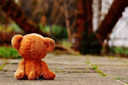 孤独的泰迪熊