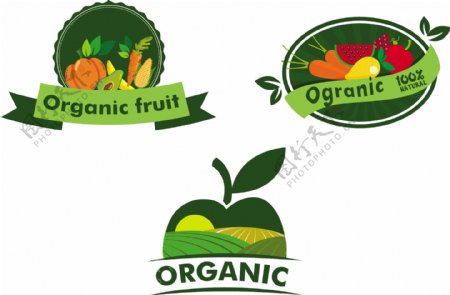 天然蔬菜图标设计