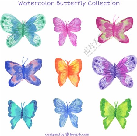9款水彩绘蝴蝶设计矢量素材