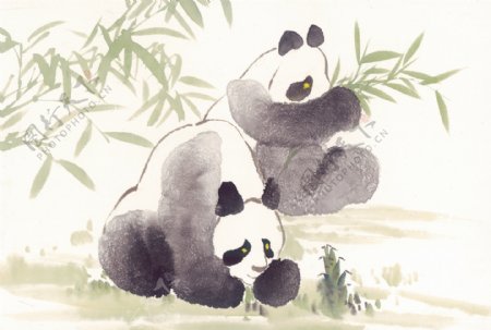 国画竹叶与熊猫图片