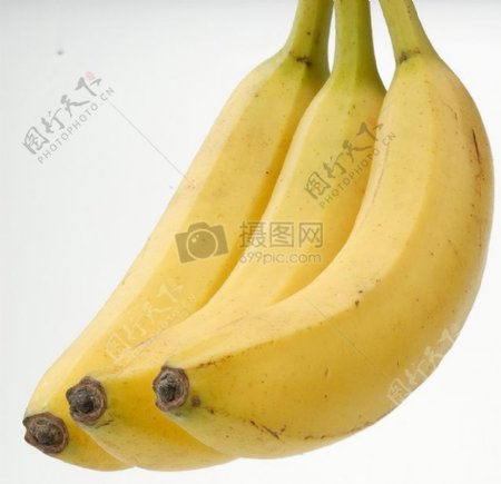 三只香蕉特写