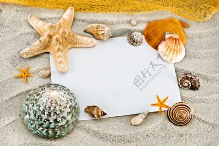 沙滩与贝壳素材图片