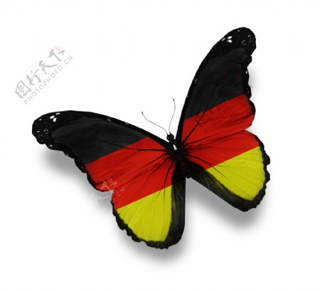 德国国旗蝴蝶图片