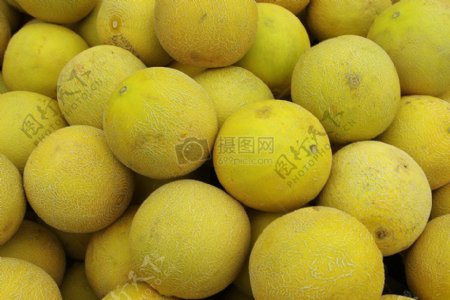 黄色的哈密瓜