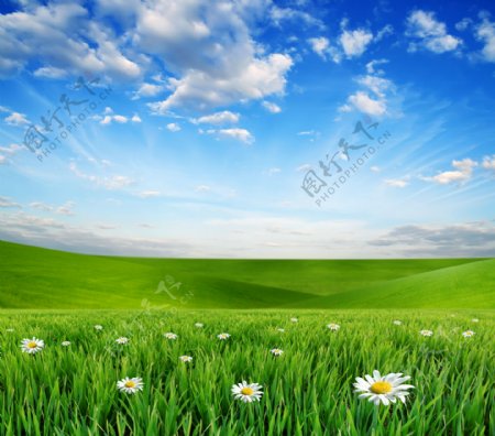 蓝天白云下的草原图片