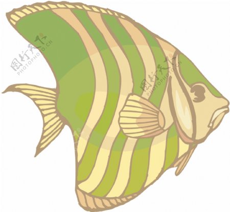 五彩小鱼水生动物矢量素材EPS格式0084