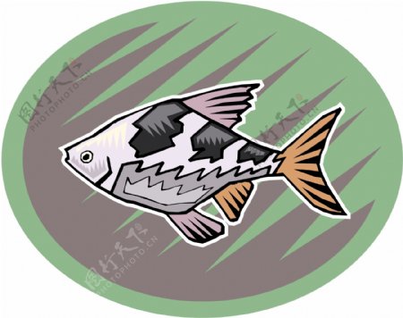 五彩小鱼水生动物矢量素材EPS格式0506