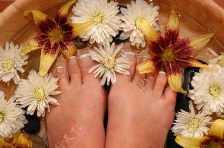 脚部鲜花浴图片