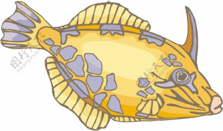五彩小鱼水生动物矢量素材EPS格式0638