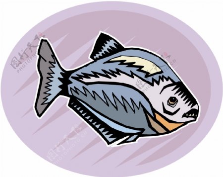 五彩小鱼水生动物矢量素材EPS格式0672
