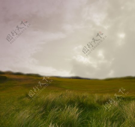 草原上的美丽风景图片