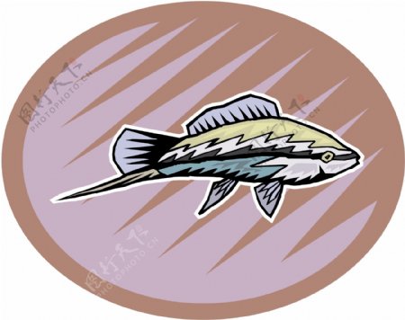 五彩小鱼水生动物矢量素材EPS格式0726
