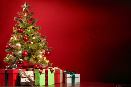 礼物与圣诞树摄影图片