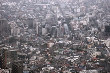 新宿城市的全景图