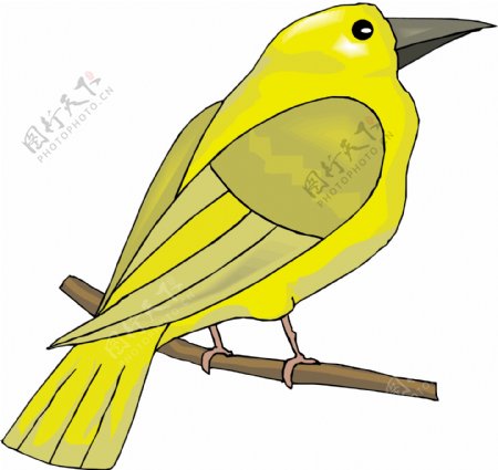 各种鸟类鸟动物矢量素材EPS格式0421