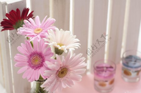 粉色花朵与玻璃杯图片