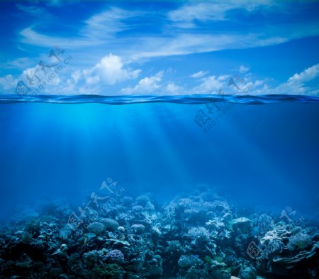 阳光照耀下的海底世界图片