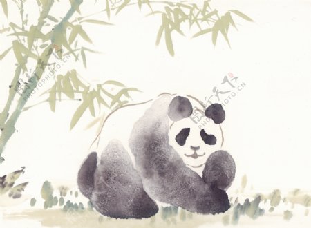 竹子与熊猫插画图片