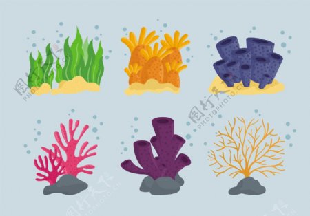 珊瑚元素集合